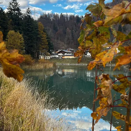 Dolomiti Urban - Casa Civetta דירה *